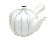 [Made in Japan] Ayatori Teapot