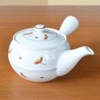 Photo2: Teapot Kyusu Akane-so (2)