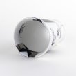 Photo5: Ceramic Beer Glass Zebra Ginsai Silver (5)