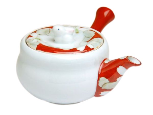 [Made in Japan] Hana gokoro Teapot