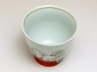 Photo2: Yunomi Tea Cup for Green Tea Hana gokoro (2)