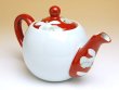 Photo2: Teapot Hana gokoro (2)