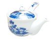 [Made in Japan] Sansui landscape hime Teapot