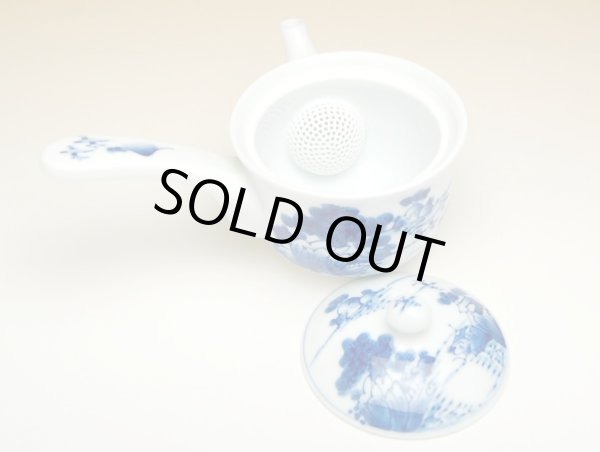 Photo2: Teapot Kyusu Sansui Landscape hime (2)