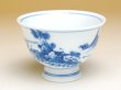 Photo2: Yunomi Tea Cup for Green Tea Daitan Sansui Landscape (2)