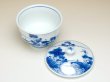 Photo2: Yunomi Tea Cup with Lid for Green Tea Sansui Landscape (2)