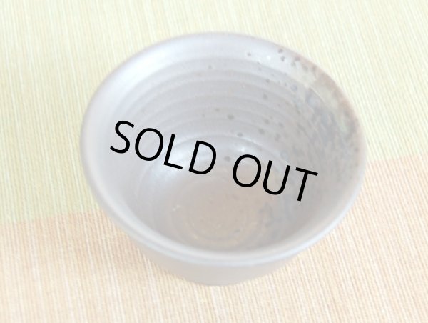 Photo6: Sake set 1 pc Tokkuri bottle and 2 pcs Cups Enka (6)