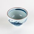 Photo3: Yunomi Tea Cup for Green Tea Matsu Ryu Dragon (3)