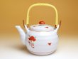 Photo1: Teapot Dobin Nishiki manreki (1)