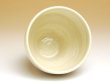 Photo2: Yunomi Tea Cup for Green Tea Naruto (White) (2)