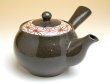 Photo2: Tea set for Green Tea 1 pc Teapot and 5 pcs Cups Ema (2)