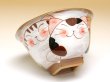 Photo2: Rice Bowl Nakayoshi neko Cats (Blue) (2)